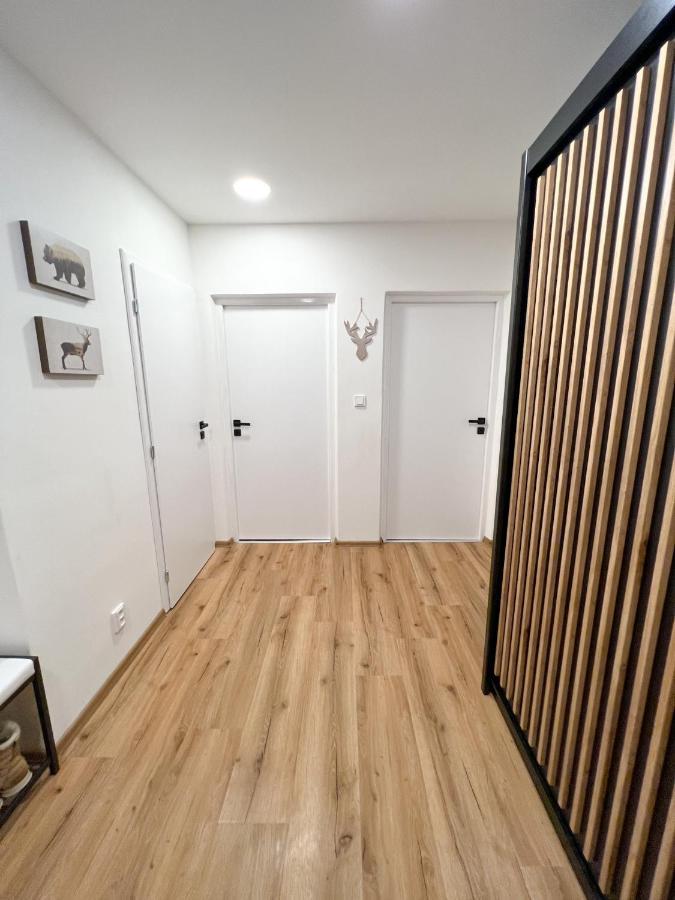 Apartman Visek Jáchymov Extérieur photo